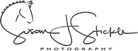 credits logo 1